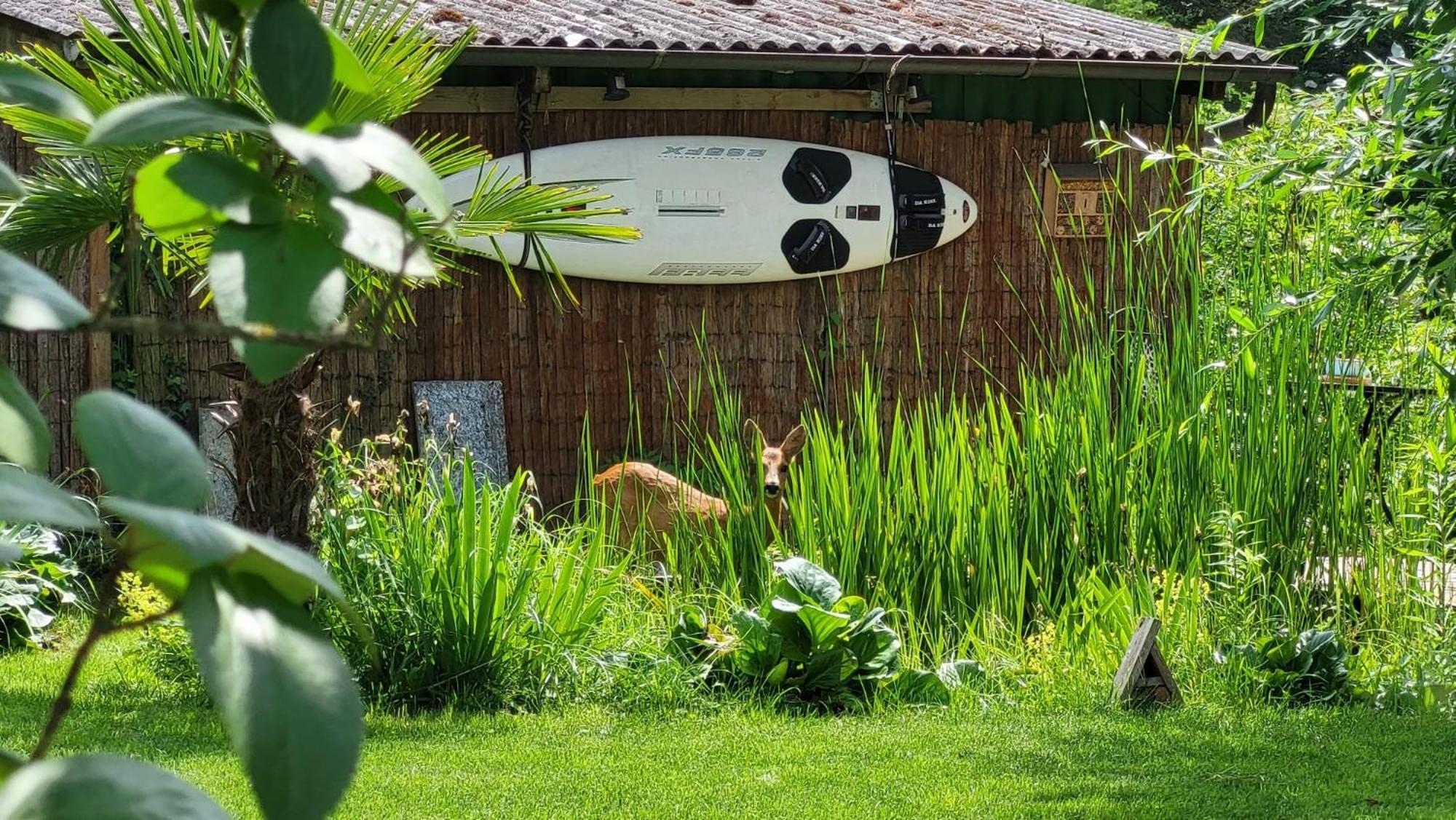 Ferienwohnung Am Bruchwald Bietigheim-Bissingen Exteriör bild