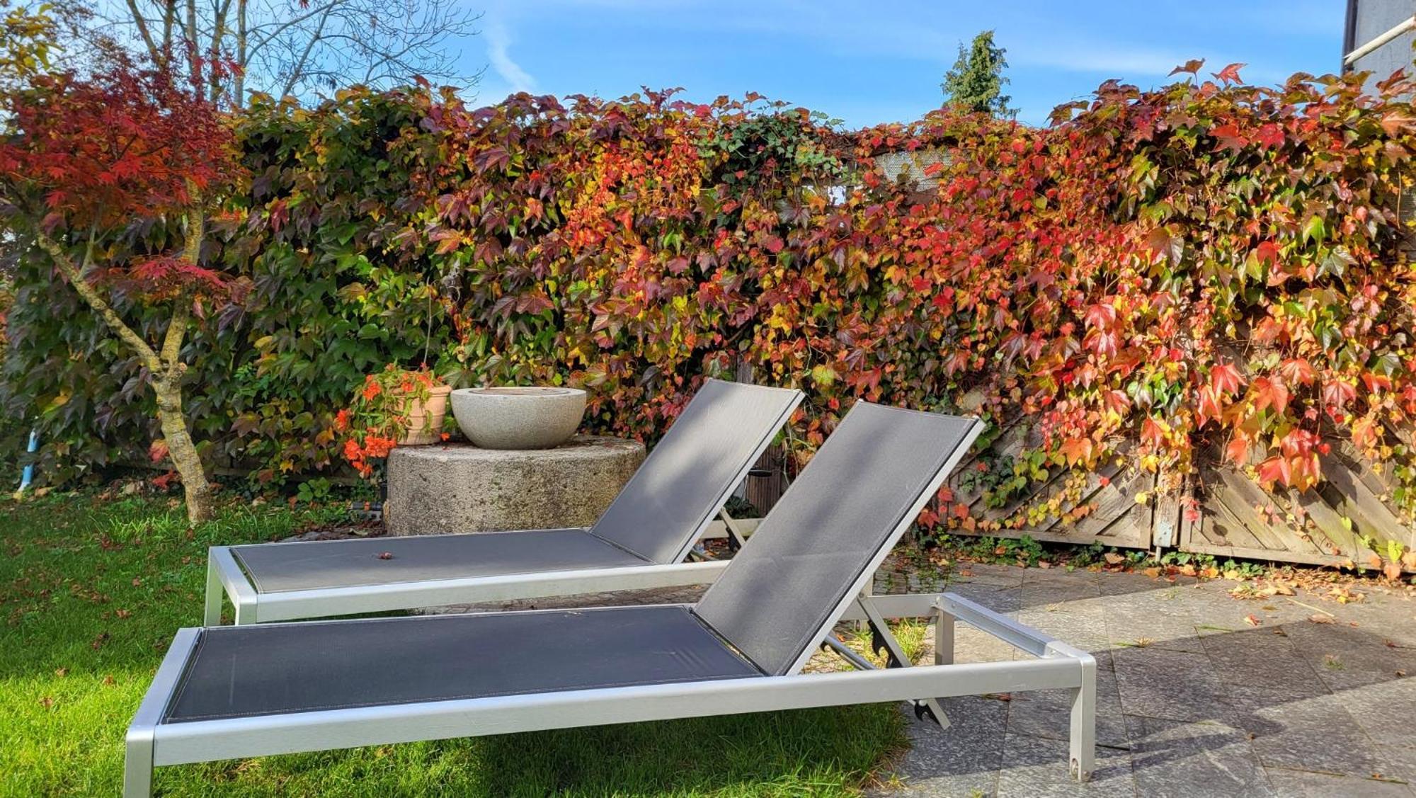 Ferienwohnung Am Bruchwald Bietigheim-Bissingen Exteriör bild